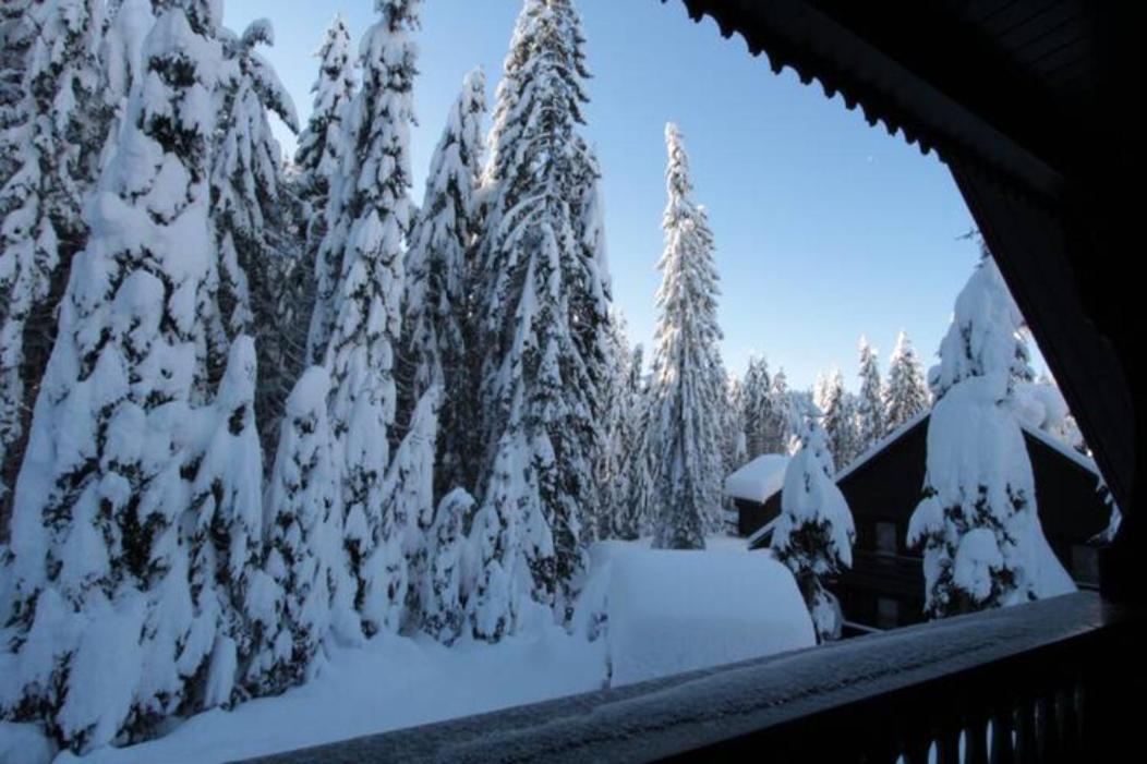 Chalet Trzinka - Triglav National Park Goreljek المظهر الخارجي الصورة